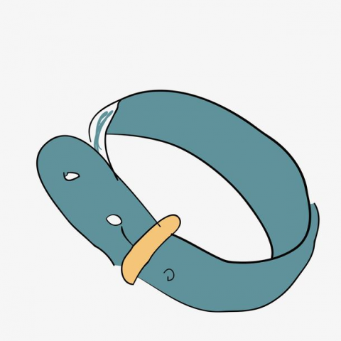 Belts