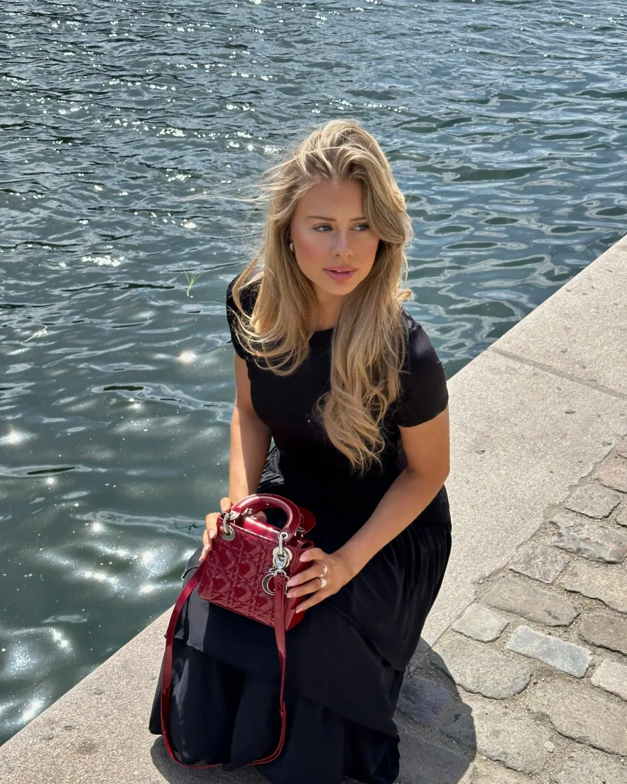 Louis Vuitton Neverfull vs. Speedy: Which Bag Is Right for Your Lifestyle?